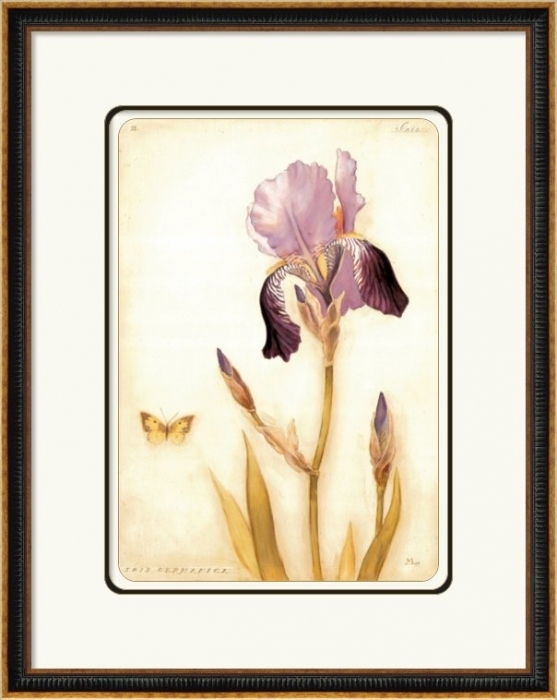 【千寻艺术】:画芯详细介绍